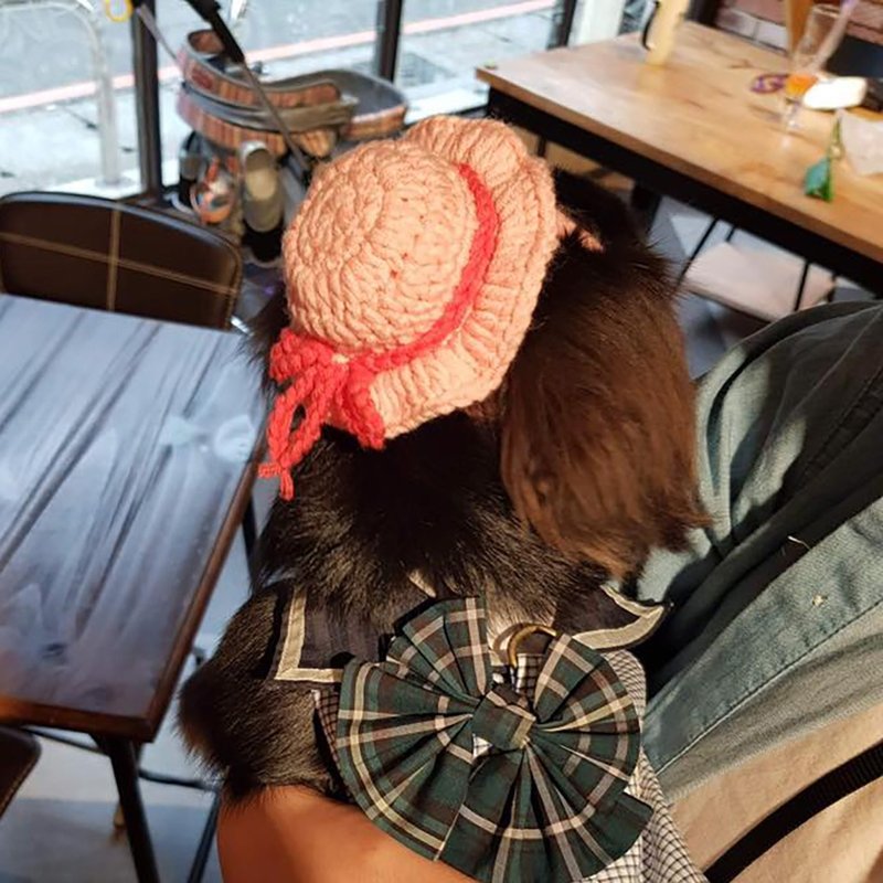 毛線編織帽/寵物毛線帽/女孩陽帽/犬貓頭套/寵物狗狗貓咪毛線帽 - 寵物衣服 - 棉．麻 多色