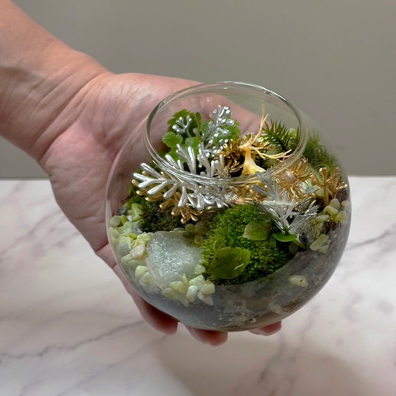 -Super mini palm-sized handmade micro-landscape ecological pot – Golden Deer and Silver Leaf - Plants - Plants & Flowers 