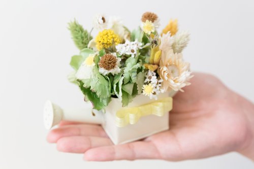 Kinki hand-made dried flower spring Psalms limited small potted mini small potted plant waterer