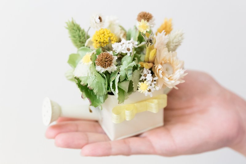 Kinki hand-made dried flower spring Psalms limited small potted mini small potted plant waterer - ตกแต่งต้นไม้ - พืช/ดอกไม้ สีเขียว