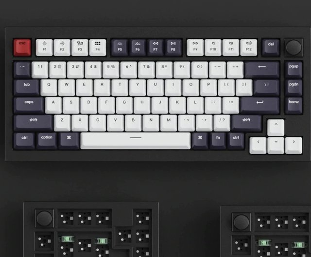Keychron Q1 Custom Mechanical Keyboard (Knob Version) - Shop Keychron Q1 Custom Mechanical Keyboard (Knob Version) - Shop