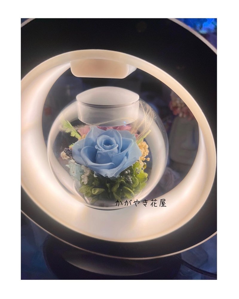 Fast Shipping/Suspended Bluetooth Horn Preserved Flower Table Lamp/Dried Flower/Night Light/Induction Home Furnishings - Speakers - Plants & Flowers Blue