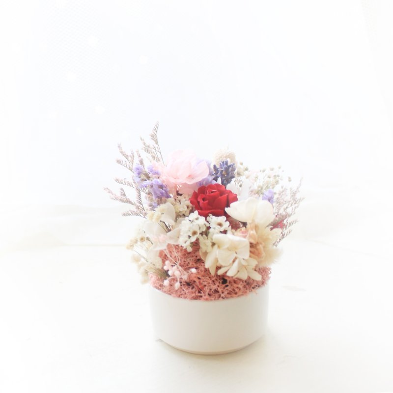Flower Party Party Mini Table Flower, Eternal Mini Rose and Purple Star Flower Ceremony - ช่อดอกไม้แห้ง - พืช/ดอกไม้ สึชมพู