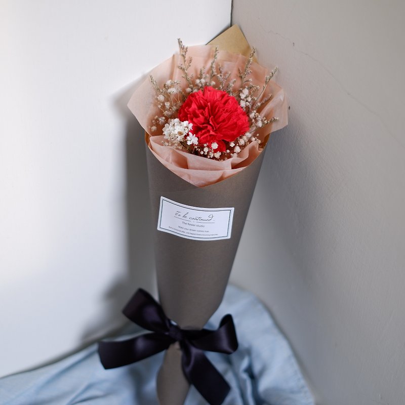 To Be Continued | Mother's Day Limited Red Carnation Dried Flower Cone Bouquet (Manual Carnation Flower Version) - Other - Plants & Flowers Red