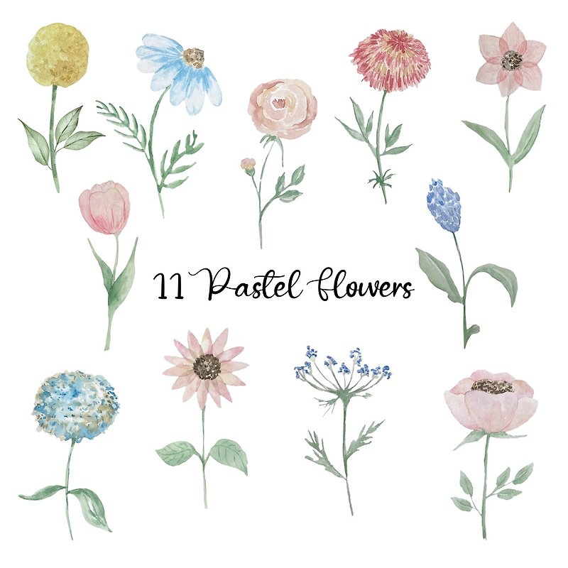 Blue and pink watercolor pastel flowers cipart - 插畫/繪畫/寫字 - 其他材質 多色