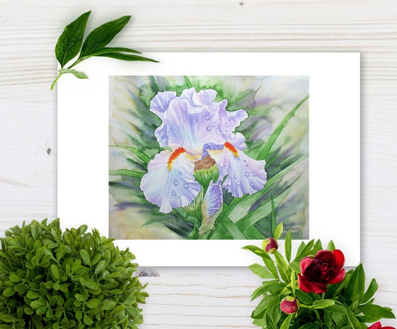 Poster Dew on Light Blue Iris, Watercolor Flowers for gift - โปสเตอร์ - กระดาษ สีน้ำเงิน