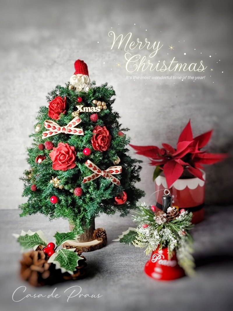 Cute Red Everlasting Christmas Tree 28cm - ของวางตกแต่ง - พืช/ดอกไม้ สีเขียว