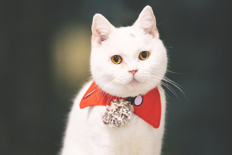 pom pom_seasonal pet collar - Collars & Leashes - Cotton & Hemp Multicolor