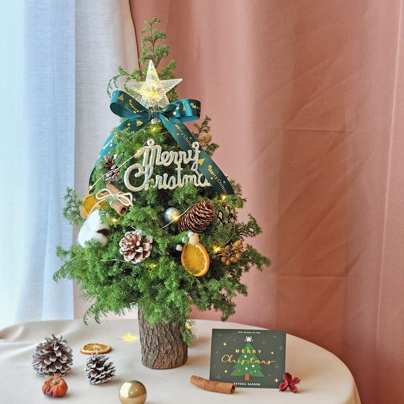 【DIY材料包】D17森林系聖誕樹手作材料包 / 雪松聖誕樹 - 乾花/永生花 - 植物．花 