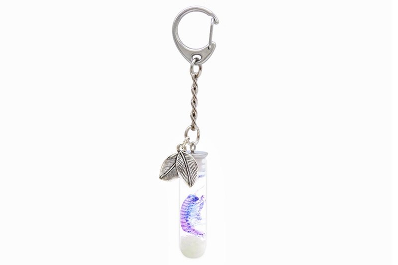 Transparent biological keychain-Gammaridea spp. - ที่ห้อยกุญแจ - แก้ว 