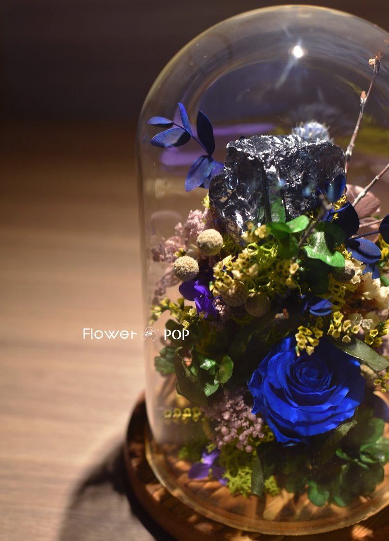 蓋世頭家 鈦赫茲 正能量促進健康 財位吉位擺飾 榮昇贈禮新居落成 - 擺飾/家飾品 - 植物．花 綠色