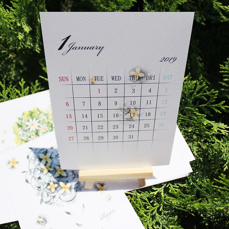 桌曆  花團錦簇 - 月曆/年曆/日曆 - 紙 多色