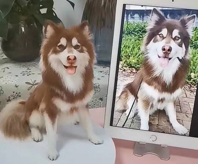 オーダーメイドペット】羊毛フェルト、うちの子 犬ぬいぐるみ、フェルト犬、羊毛犬、肖像画、犬猫人形 プレゼントやギフトに - ショップ  LifeXtyle おもちゃ - Pinkoi