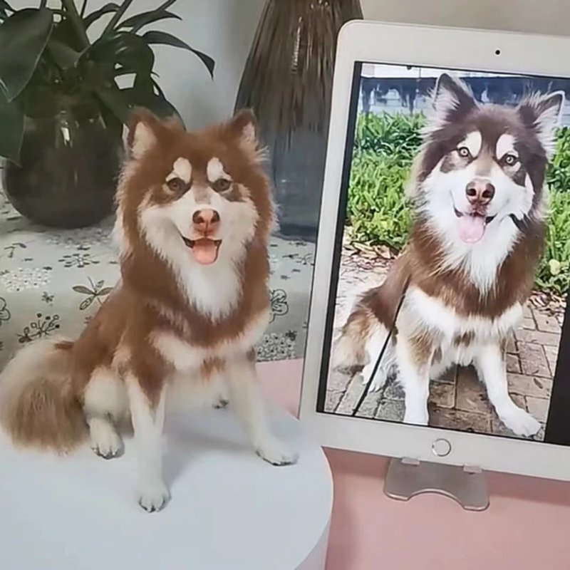 客制化逼真犬 羊毛氈 阿拉斯加犬 寵物 娃娃 定制 狗狗猫咪 150 - 貓/狗玩具 - 羊毛 多色
