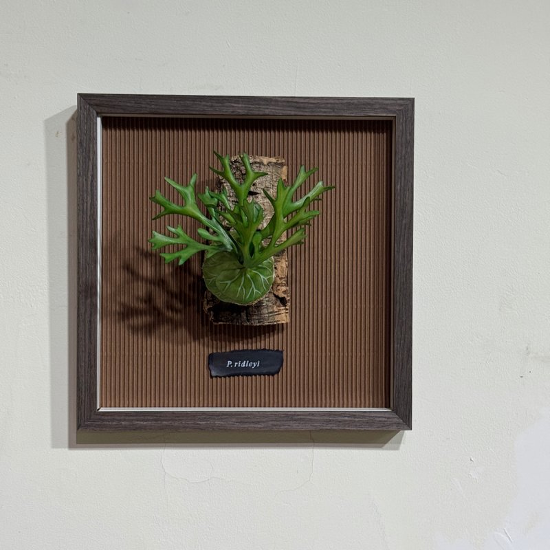 亞猴皮革鹿角蕨相框 - 擺飾/家飾品 - 真皮 