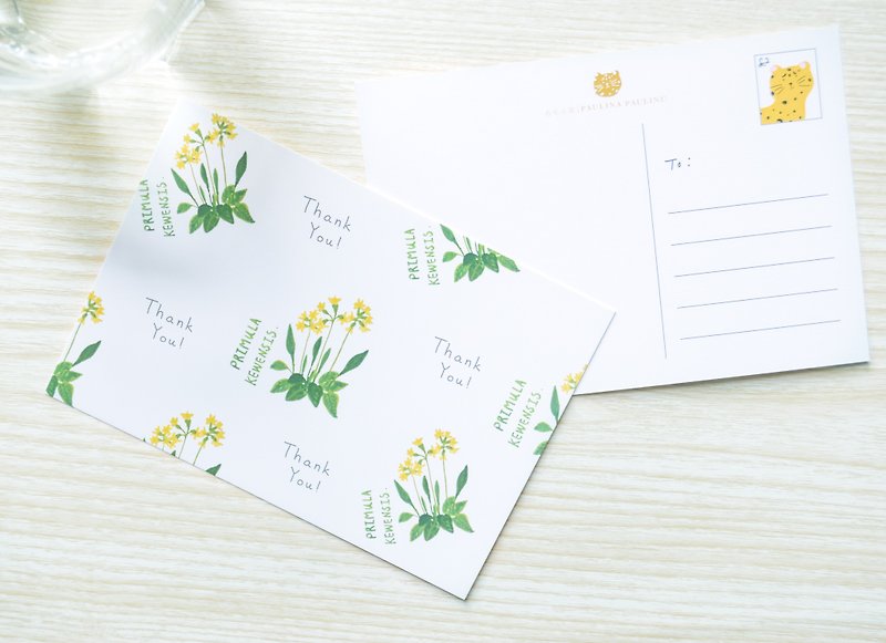 Garden Collection-Primula Kewensis postcard / buy 3 get 1 - Cards & Postcards - Paper Multicolor