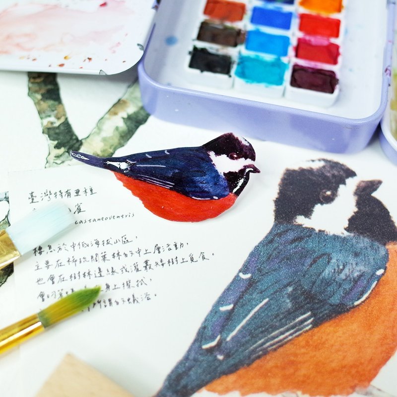 Taiwan Endemic Species: Rufous-faced Warbler Art Pin Brooch - Brooches - Waterproof Material Multicolor