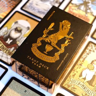 超美麗✨台湾の超希少デッキ✨クラシック＋魔法のような覚醒の魂のタロットカード Amazon.co.jp: 【日本語版】新・龍羽台湾流易占カード 中国 易経