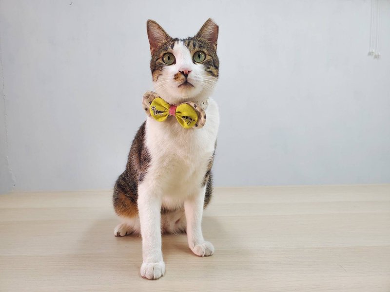 Hsinchu Handmade Experience Course - Furry Child Collar/Pet Collar Double Bow Style - Knitting / Felted Wool / Cloth - Cotton & Hemp 