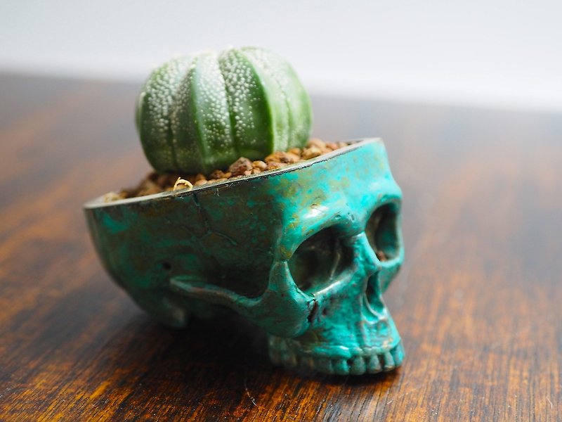 Skull pots cactus small potted plants in brass and Patina color Handcrafted from - 植物/盆栽/盆景 - 其他金屬 綠色