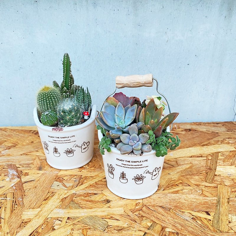 [Doudou Succulents] Housewarming│Gifts│Promotion│Succulent Plants│-Country style ceramic basket combination - Plants - Pottery 