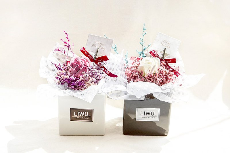 LIWU by your side starry dried potted flower opening celebration birthday gift exchange gift graduation - ช่อดอกไม้แห้ง - พืช/ดอกไม้ หลากหลายสี