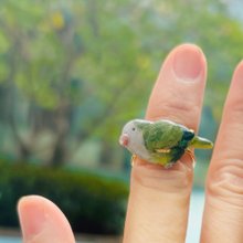 オウムの指輪、ブローチ、モンクオウムの飾りは、独自のデザインをカスタマイズできます。
