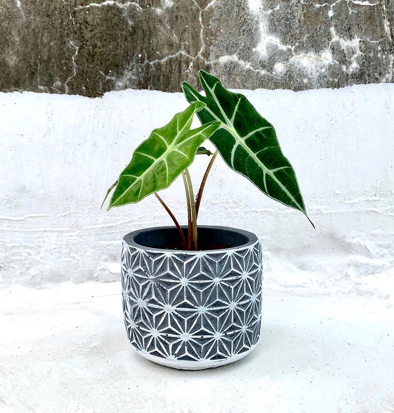 【Potted plant】Re-engraved impression geometric pattern cement potware / healing decoration with foliage plants - ตกแต่งต้นไม้ - ปูน สีเทา