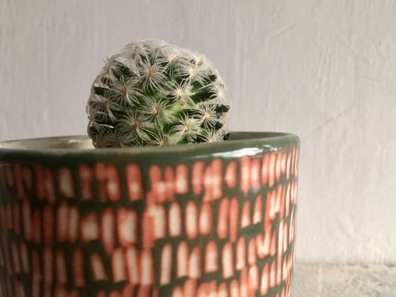 Red with green is not smelly fart suitcase pottery potted pottery - ตกแต่งต้นไม้ - ดินเผา สีแดง