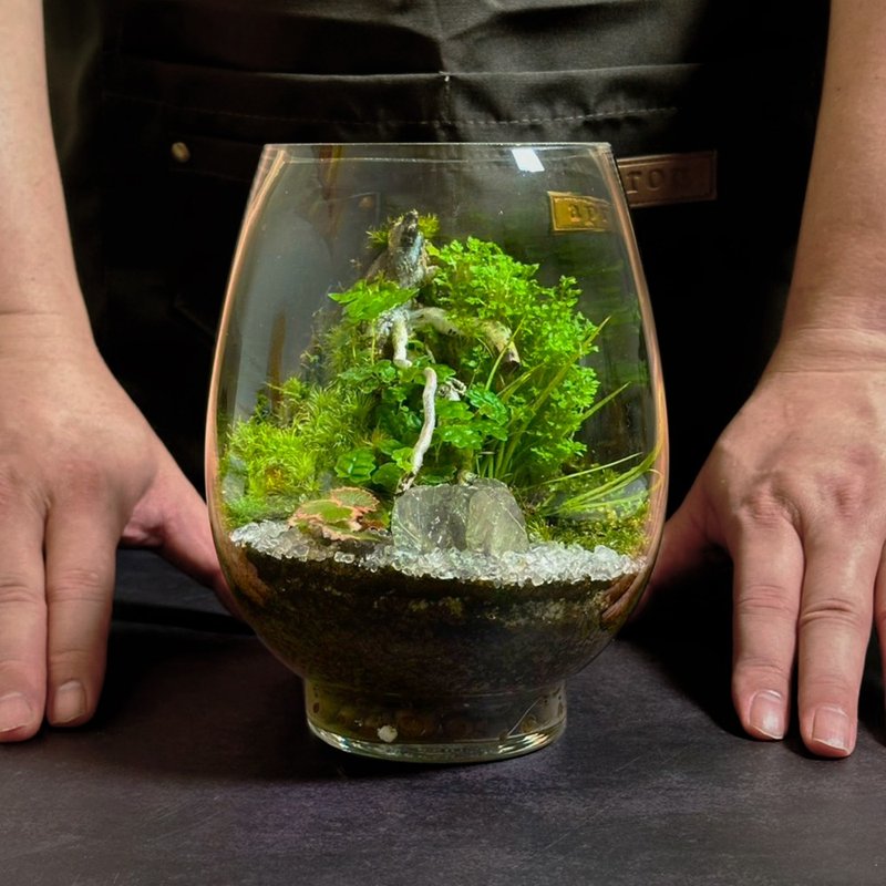 雪綠初映 / 手工客製化微景觀生態盆 - 盆栽/植栽 - 植物．花 