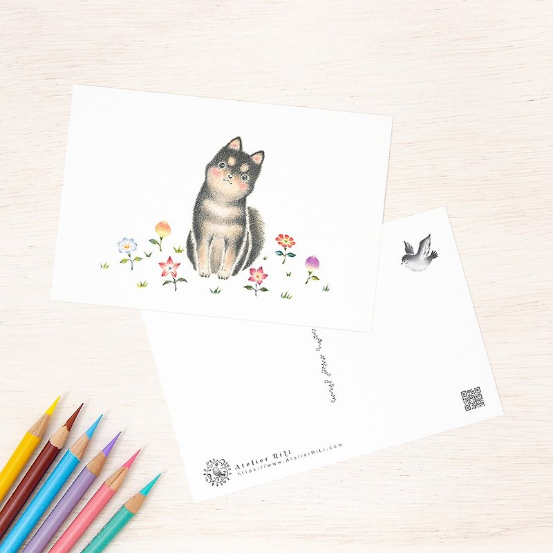 Set of 5 pieces. Like a picture book. Postcard "Puppy Kororo" PC-320 - การ์ด/โปสการ์ด - กระดาษ สีดำ
