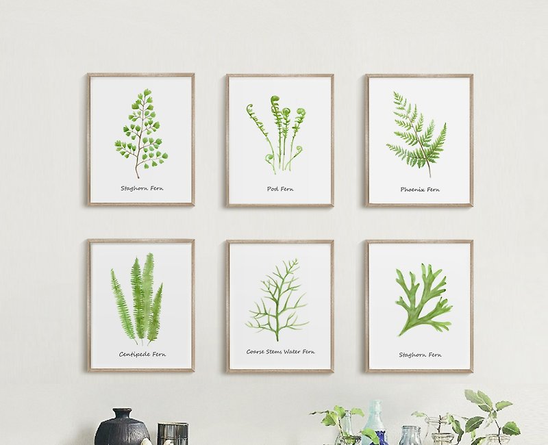 Herb Decor, Set of 6 Fern Painting Print, Botanical Print Wall Art - โปสเตอร์ - กระดาษ 