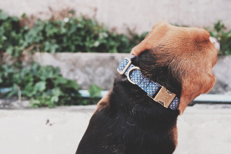 Dog collars Indigo x Burma Padauk - Collars & Leashes - Cotton & Hemp Blue
