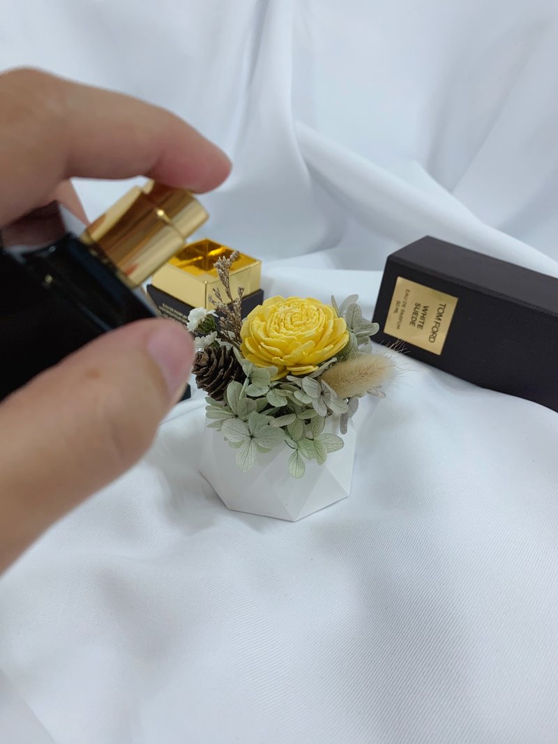 【Texture Potted Flower】Sun Rose Diffuse Gypsum Basin - Dried Flowers & Bouquets - Plants & Flowers Yellow