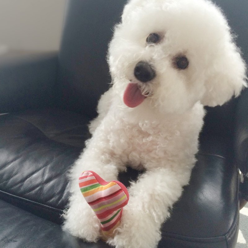 狗玩具- Obi系列/ 補骨頭(綠方格) - 貓/狗玩具 - 棉．麻 橘色