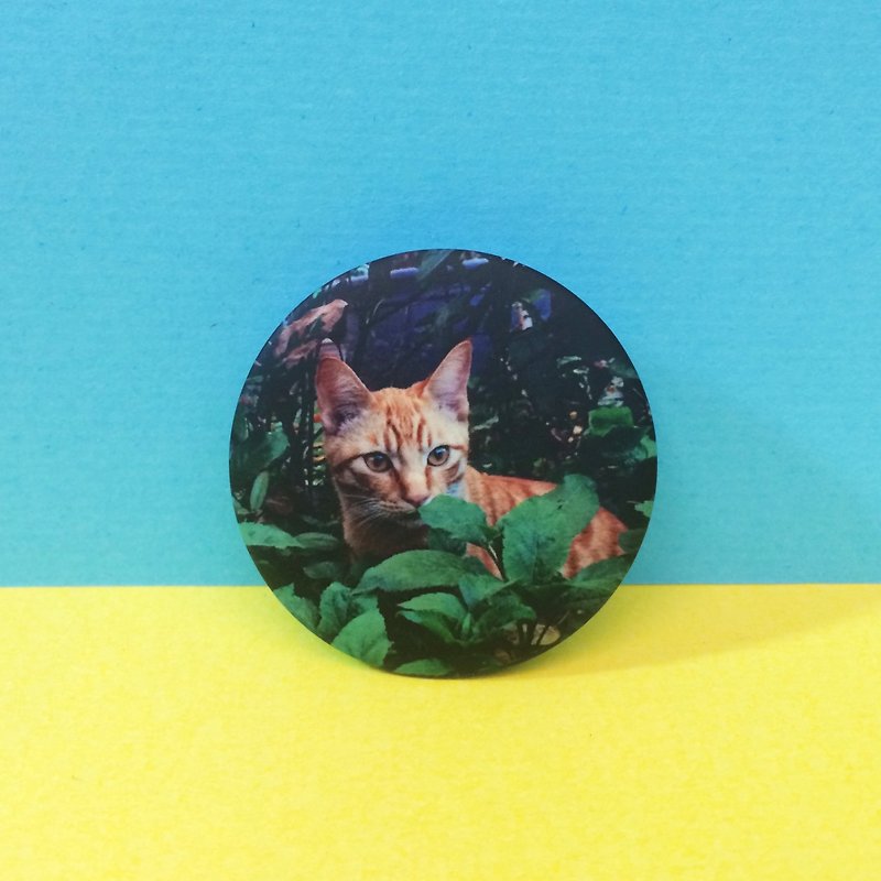 Hide the bush cat badge - Badges & Pins - Plastic 