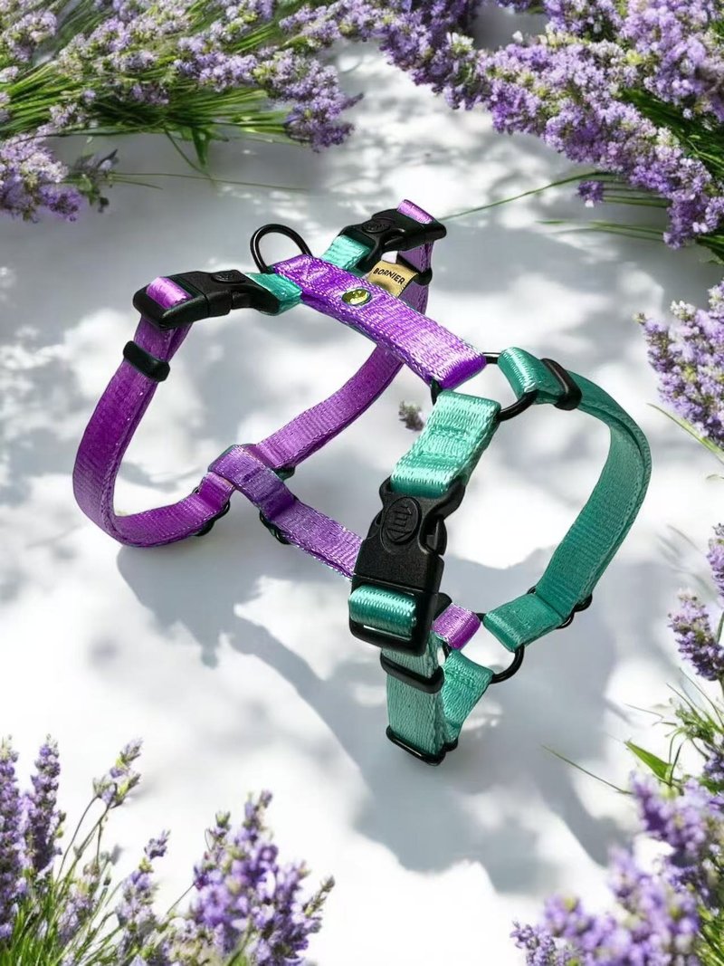 Silkley 2+1 buckle H-shaped harness XS-XL - Collars & Leashes - Nylon Multicolor