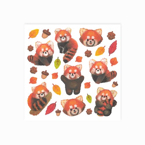myy279 Transparent Sticker | Red panda