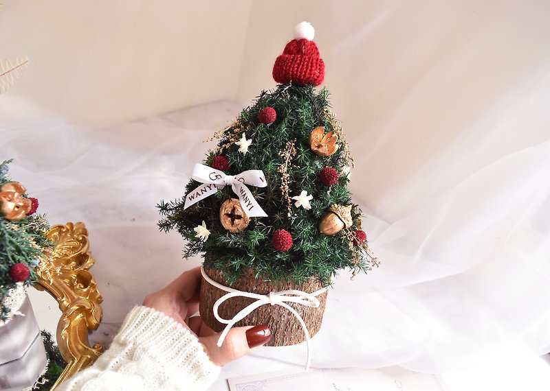 小紅帽聖誕樹 乾燥花 聖誕節 附聖誕包裝 交換禮物 聖誕禮物 佈置 - 乾燥花/永生花 - 植物．花 
