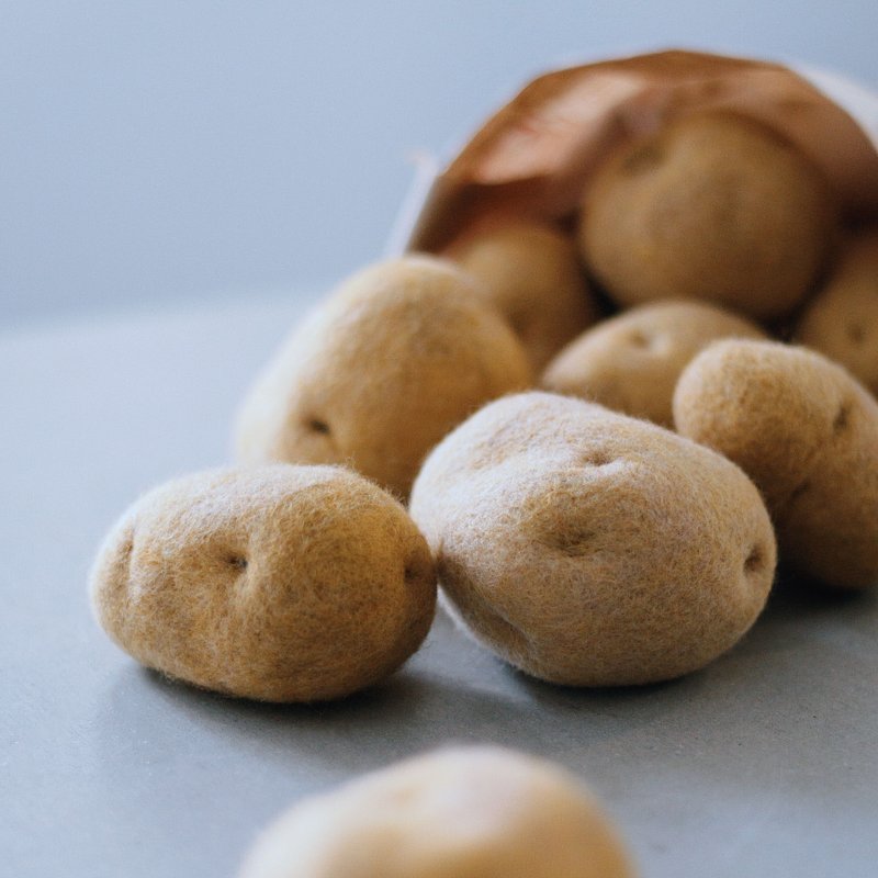 浮森号限定【羊毛フェルト ニードルフェルト】癒やしの森—ポテト - 編み物教室・タフティング - ウール 