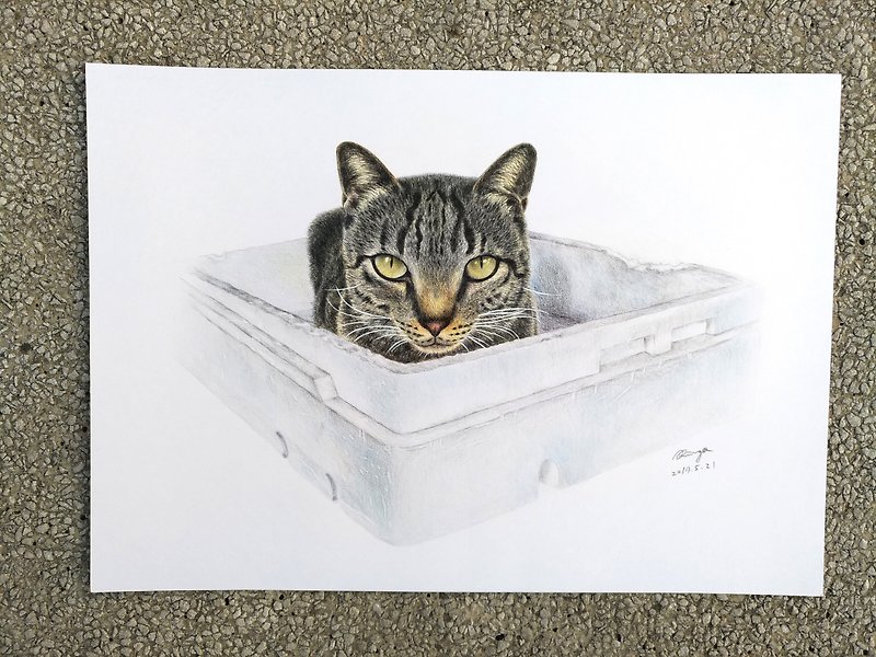 ぶち猫色鉛筆動物肖像画オリジナル絵画A4サイズ - ポスター・絵 - 紙 