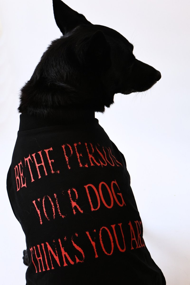 BE Tee Dog Short Kick-Be a Good Person XL-3XL - ชุดสัตว์เลี้ยง - ผ้าฝ้าย/ผ้าลินิน สีดำ