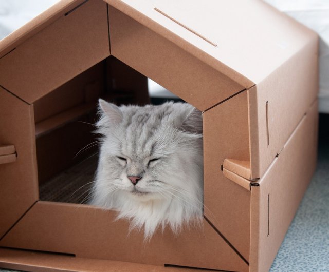 Carton shop cat house