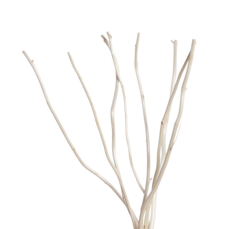 Diffuse Natural Willow Branch - Fragrances - Plants & Flowers White