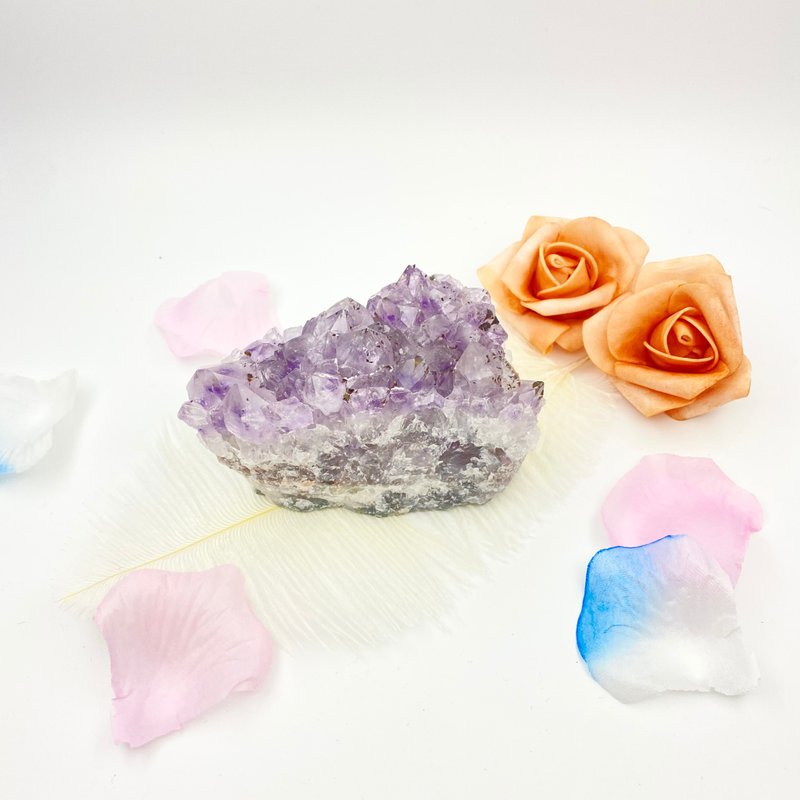 紫鈦晶簇 | 水晶 | 水晶簇 | 水晶擺件 - 其他 - 水晶 紫色