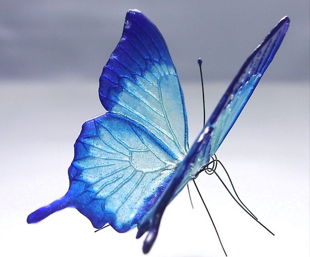 ガラスの蝶 ハッピーブルーユリシス