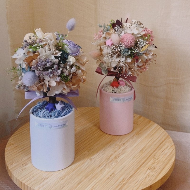 許願星球 - 永生花球樹 - 乾燥花/永生花 - 植物．花 