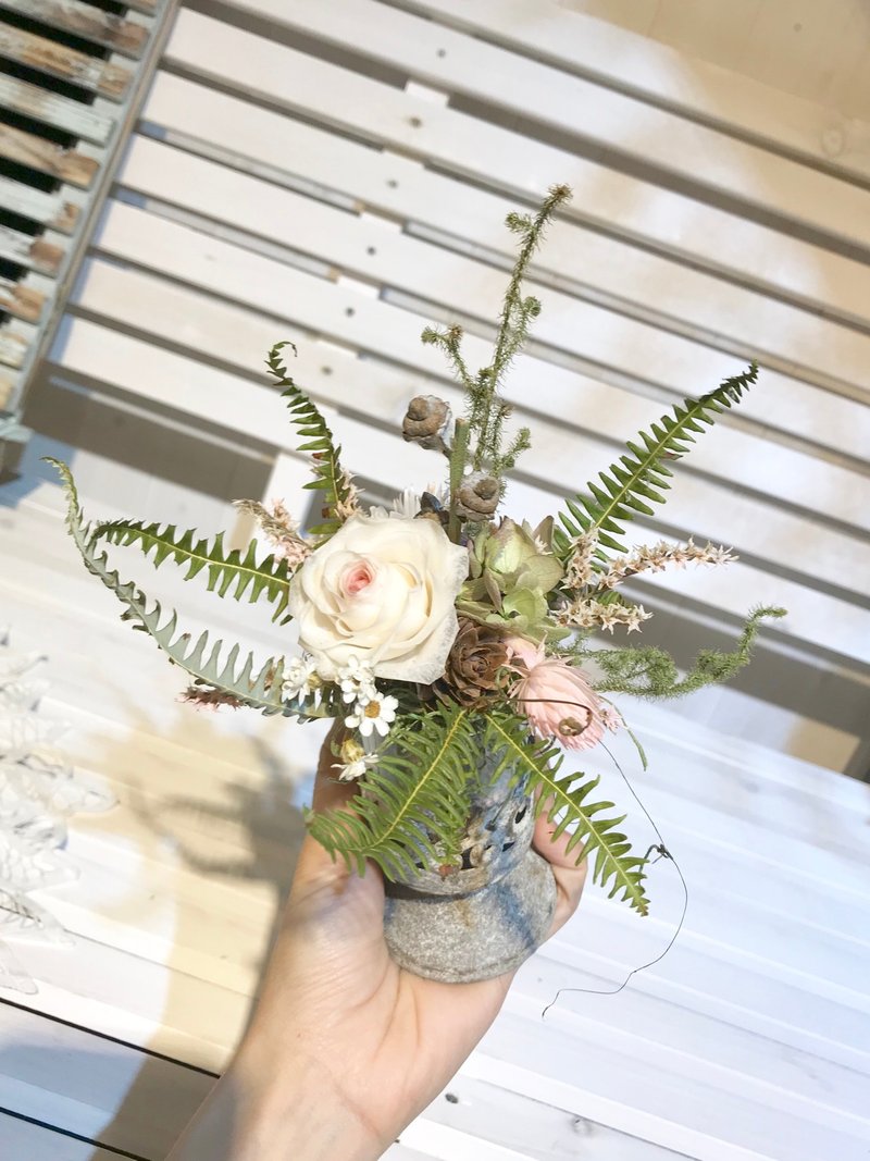 。微米生長。乾燥花 永生花 擺飾盆花 - 盆栽/植栽 - 植物．花 綠色
