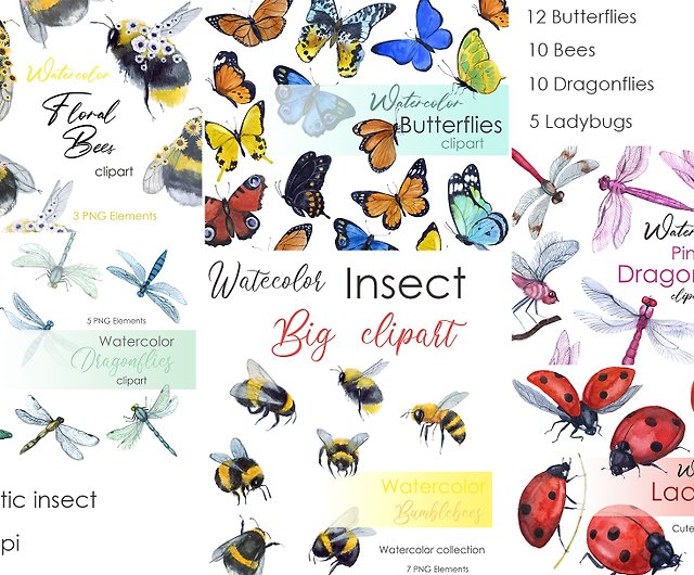 Watercolor Clipart Insect Ladybug Png Graphic by