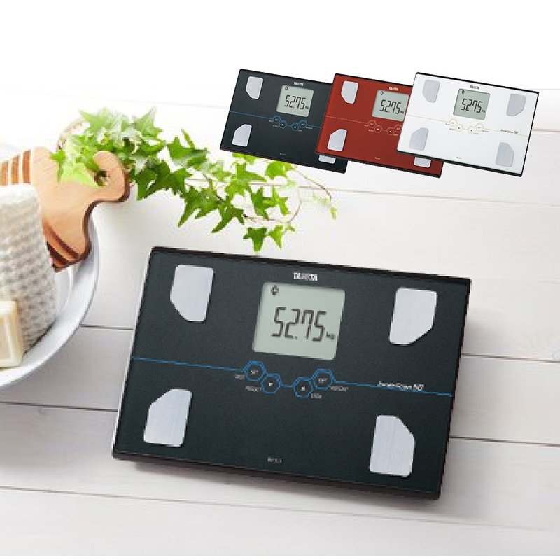 TANITA ten-in-one composition meter BC-313 - Other Small Appliances - Glass 